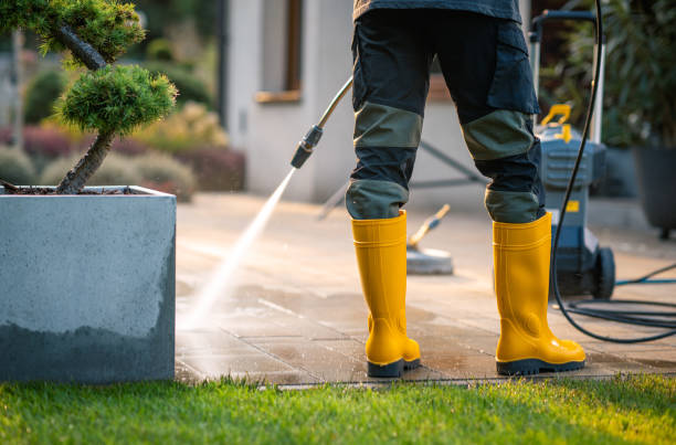 Best Best Pressure Washing Companies  in White Bluff, TN